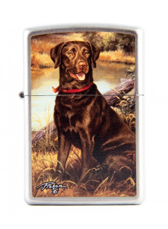 Accendino Zippo Labrador