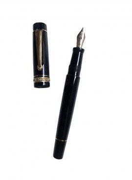 Penna Delta Dolcevita Black & White Fountain Pen