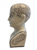 Authentic Models -  Pherenology Head Small