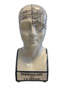 Authentic Models -  Pherenology Head Small