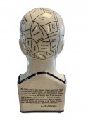 Authentic Models -  Pherenology Head Small