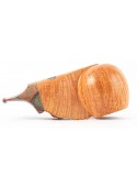 Pipe  Werner Mummert - High Grade Apple