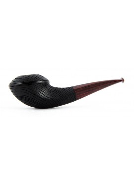Pipa Il Duca B Rhodesian Morta