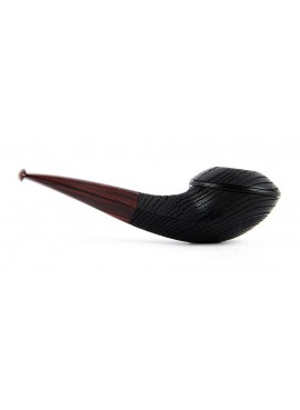 Pipa Il Duca B Rhodesian Morta